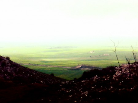 Confine tra la Murgia e la Fossa Bradanica