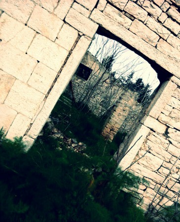 Resti di presenze antropiche