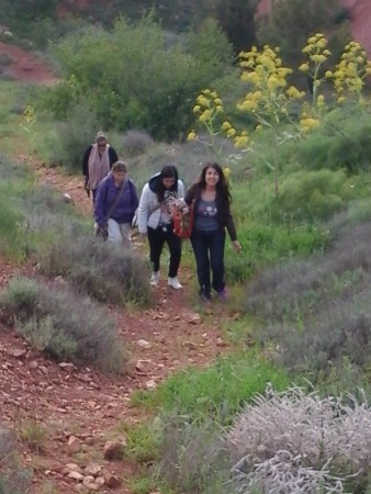 Risalita dalla Cava, cespugli di flora mediterranea e piante di ferula sullo sfondo